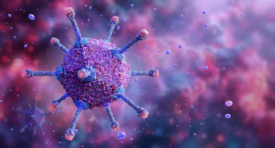 Published Research Papers